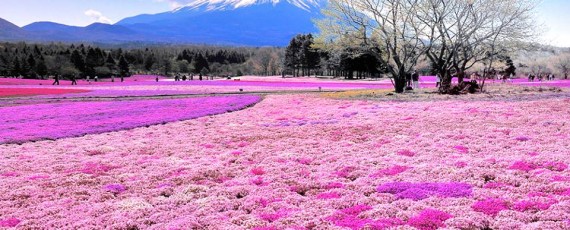 天使能量屋_富士山