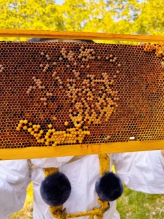 591091401_1305306314970238_687000688247218120_n