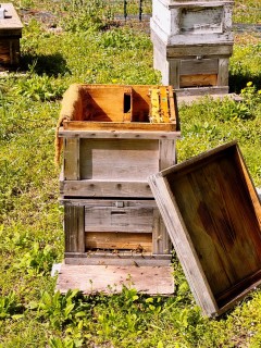 592236970_1305306294970240_3746526626273818663_n