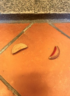 612392736_1335506161950253_2211270962122833240_n