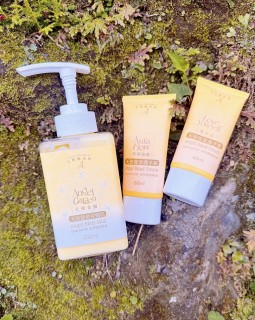 650483750_1391165339717668_8829825729618082934_n